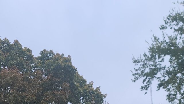 kpr-22595-AAL1hK