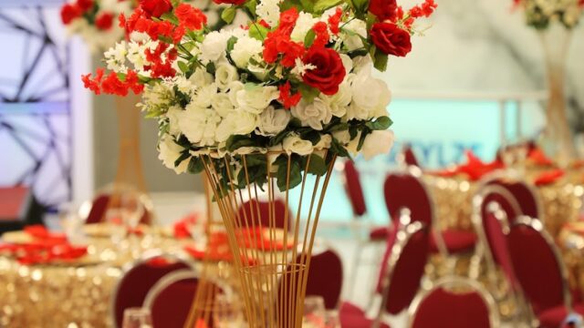 Kids Party Rentals in Indianapolis, IN