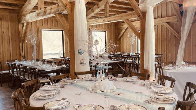 Kids Party Rentals in Erie, PA