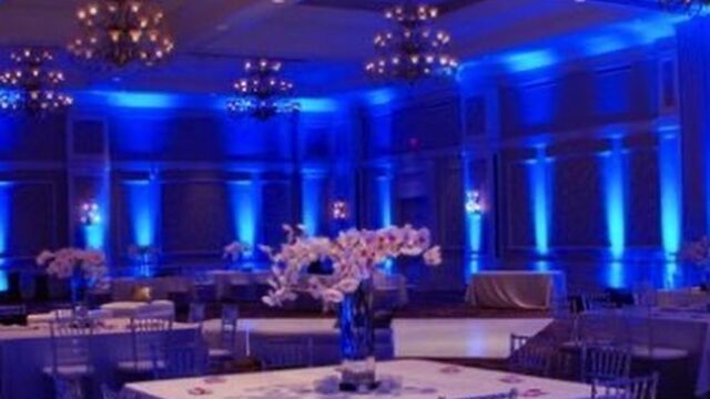 Single Category 67 Kids Party DJs Near You
