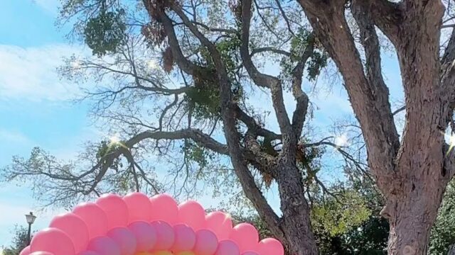 Kids Party Rentals in Carrollton, TX