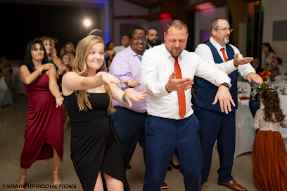 Kids Party DJs Near You