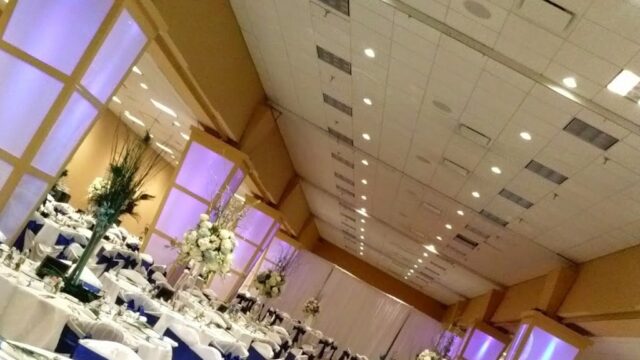 Single Category 17 Party Tableware & Linen Rentals Near You