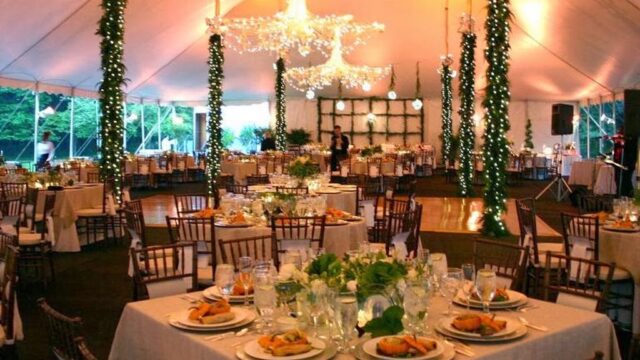 Single Category 22 Party Tableware & Linen Rentals Near You