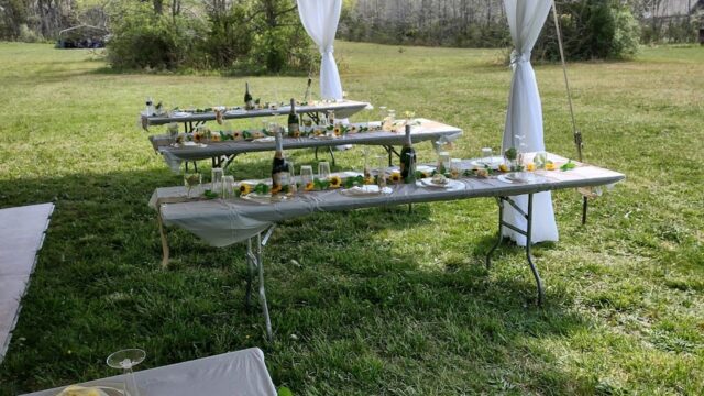 Single Location 13 Kids Party Rentals in Fredericksburg, VA