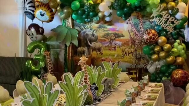 Single Category 33 Kids Party Planners Near You
