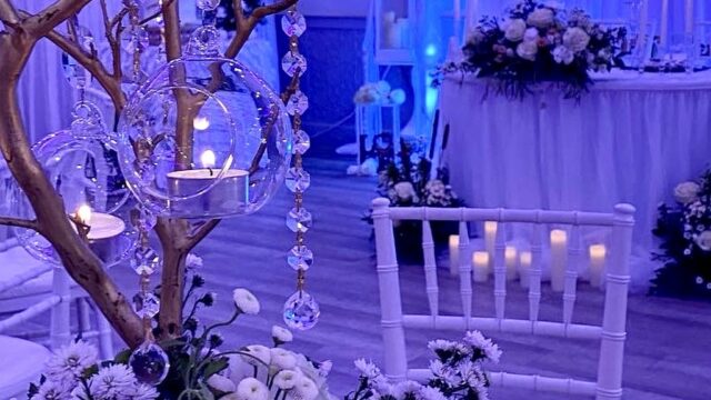 Single Category 31 Kids Party Planners Near You