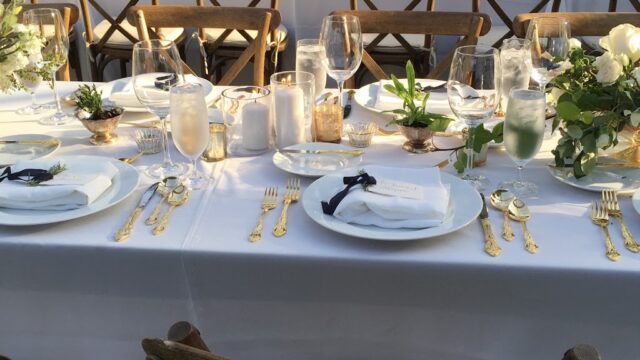 Single Category 92 Party Tableware & Linen Rentals Near You