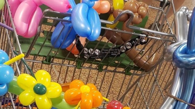 Kids Party Rentals in Raleigh, NC