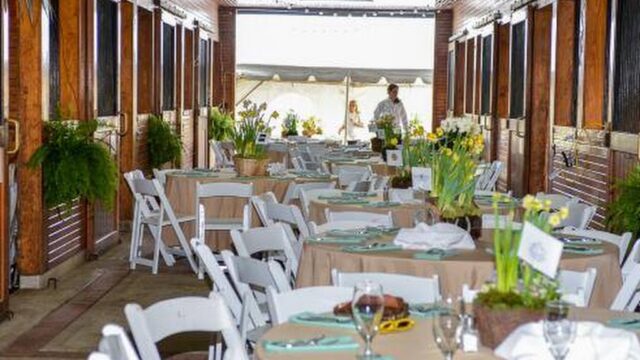 Kids Party Planners Near You