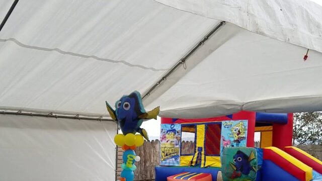 Single Location 17 Kids Party Rentals in Santa Maria, CA