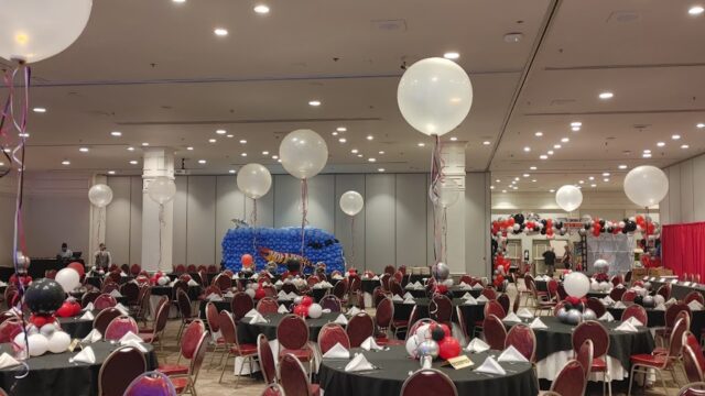 Single Location 78 Kids Party Rentals in Las Vegas, NV