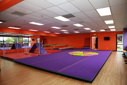 Kids Party Rentals in Fremont, CA