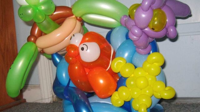 Single Location 41 Kids Party Rentals in San Francisco, CA