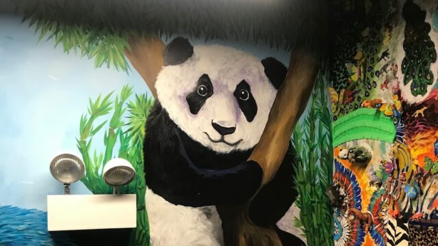 Single Location 95 Kids Party Rentals in Chicago, IL