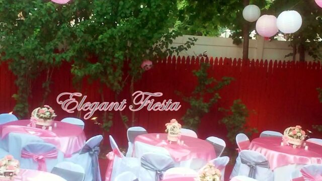Single Location 26 Kids Party Rentals in Allentown, PA