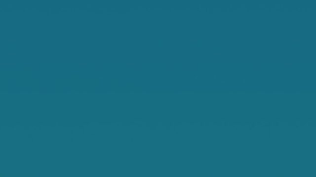 kpr-24482-CFWANt