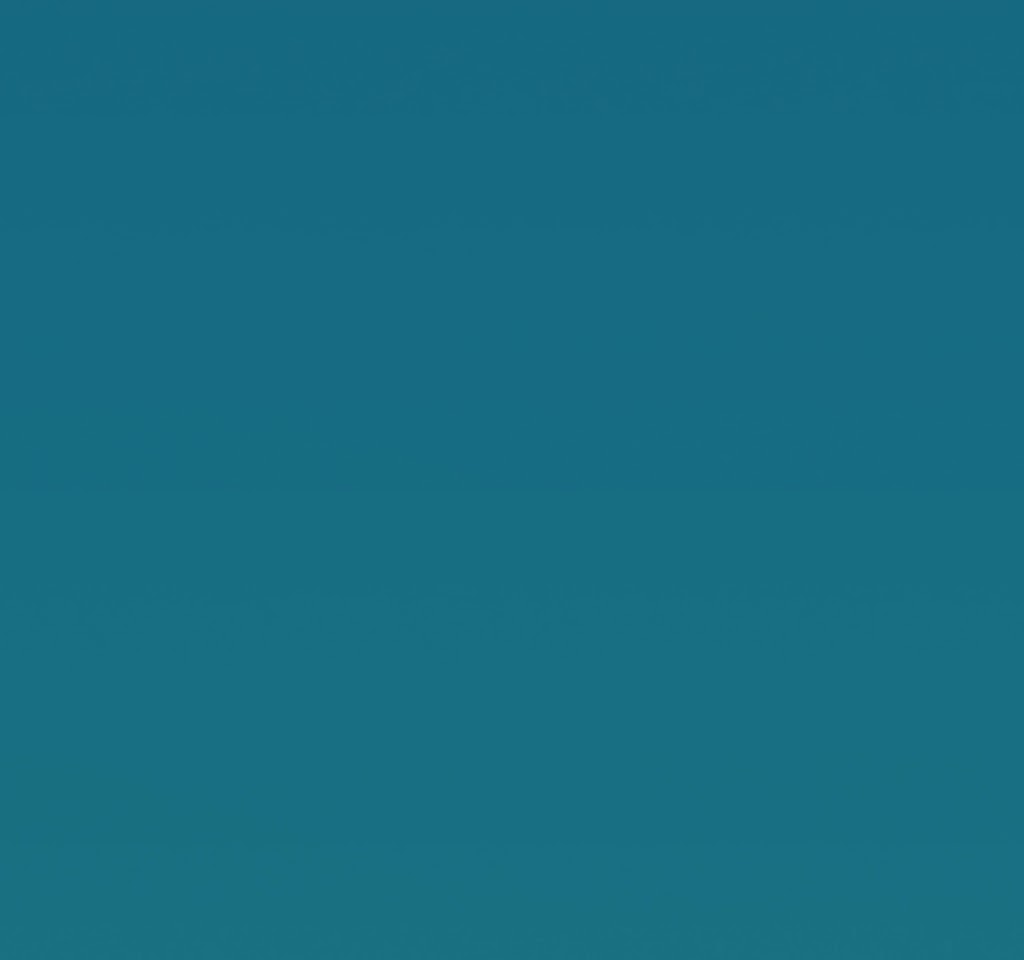 kpr-24482-CFWANt