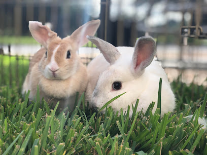 kpr-25872-4Nd3DY