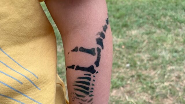 kpr-35083-W6UQz2